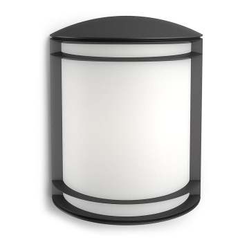 Philips - Välisseinale mõeldud seinalamp LED/6W/230V IP44