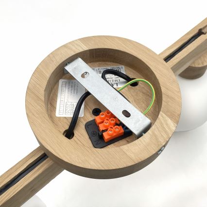 Pindpaigaldatav lühter ANTONIO 2xG9/5W/230V tamm/valge