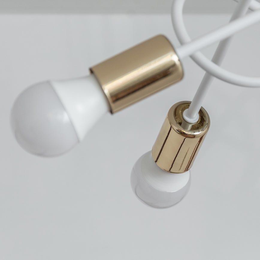 Pinna peale kinnitatav laelühter OXFORD 5xE27/15W/230V kuldne/valge