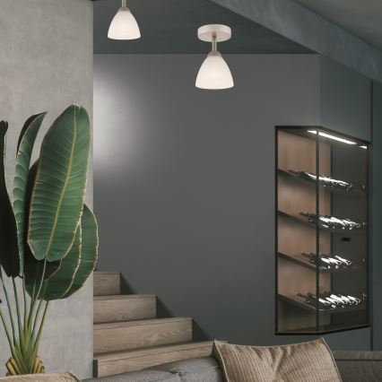 Pinnale kinnitatav lühter ADRIANO 1xE27/60W/230V pöök