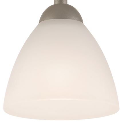 Pinnale kinnitatav lühter ADRIANO 1xE27/60W/230V pöök