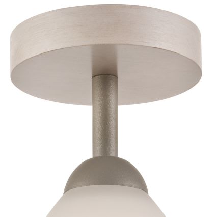 Pinnale kinnitatav lühter ADRIANO 1xE27/60W/230V pöök