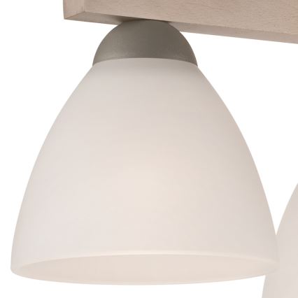 Pinnale kinnitatav lühter ADRIANO 3xE27/60W/230V pöök