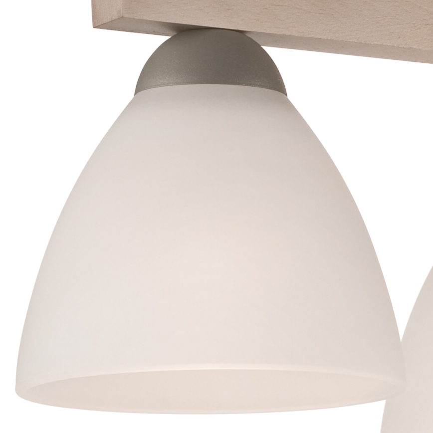 Pinnale kinnitatav lühter ADRIANO 3xE27/60W/230V pöök