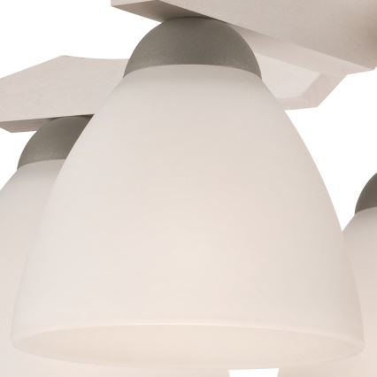 Pinnale kinnitatav lühter ADRIANO 5xE27/60W/230V pöök