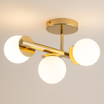 Pinnale kinnitatav lühter AVOLA 3xG9/12W/230V kuldne