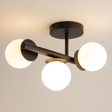 Pinnale kinnitatav lühter AVOLA 3xG9/12W/230V must