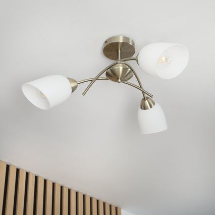 Pinnale kinnitatav lühter DONNA 3xE27/60W/230V paatina