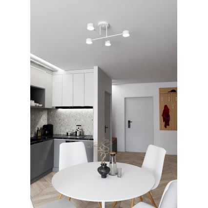 Pinnale kinnitatav lühter HALO 4xGX53/10W/230V valge