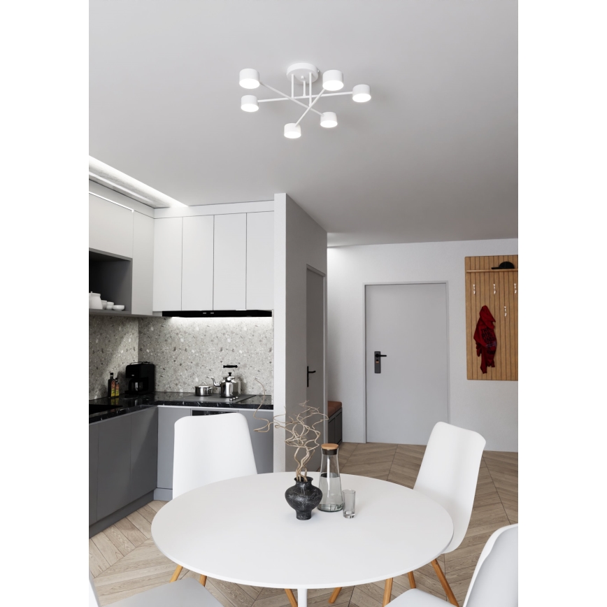 Pinnale kinnitatav lühter HALO 6xGX53/8W/230V valge
