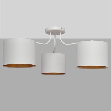 Pinnale kinnituv lühter ALBA 3xE27/15W/230V valge/kuldne