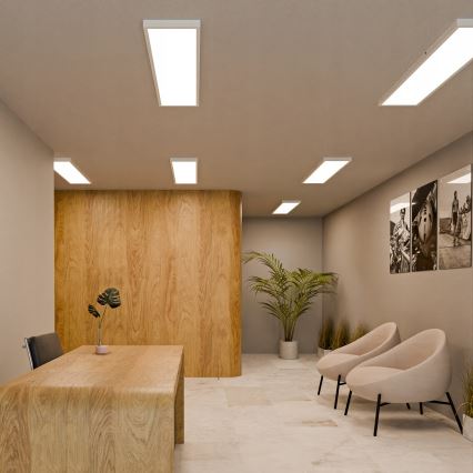 Pinnale paigaldatav LED-paneel 60W/230V 30x120 cm valge