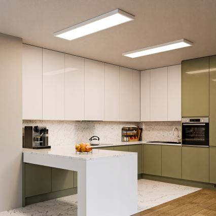 Pinnale paigaldatav LED-paneel 60W/230V 30x120 cm valge