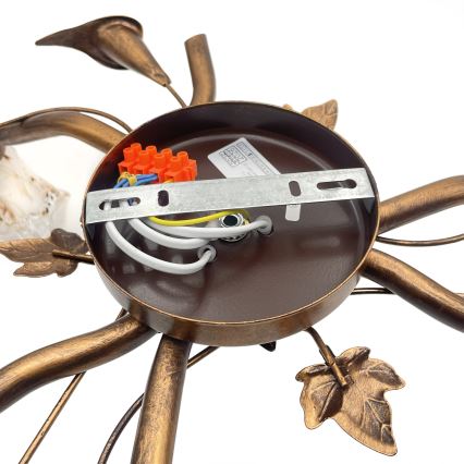 Pinnapealne laelühter ROZETA 3xE14/40W/230V pronksitooni