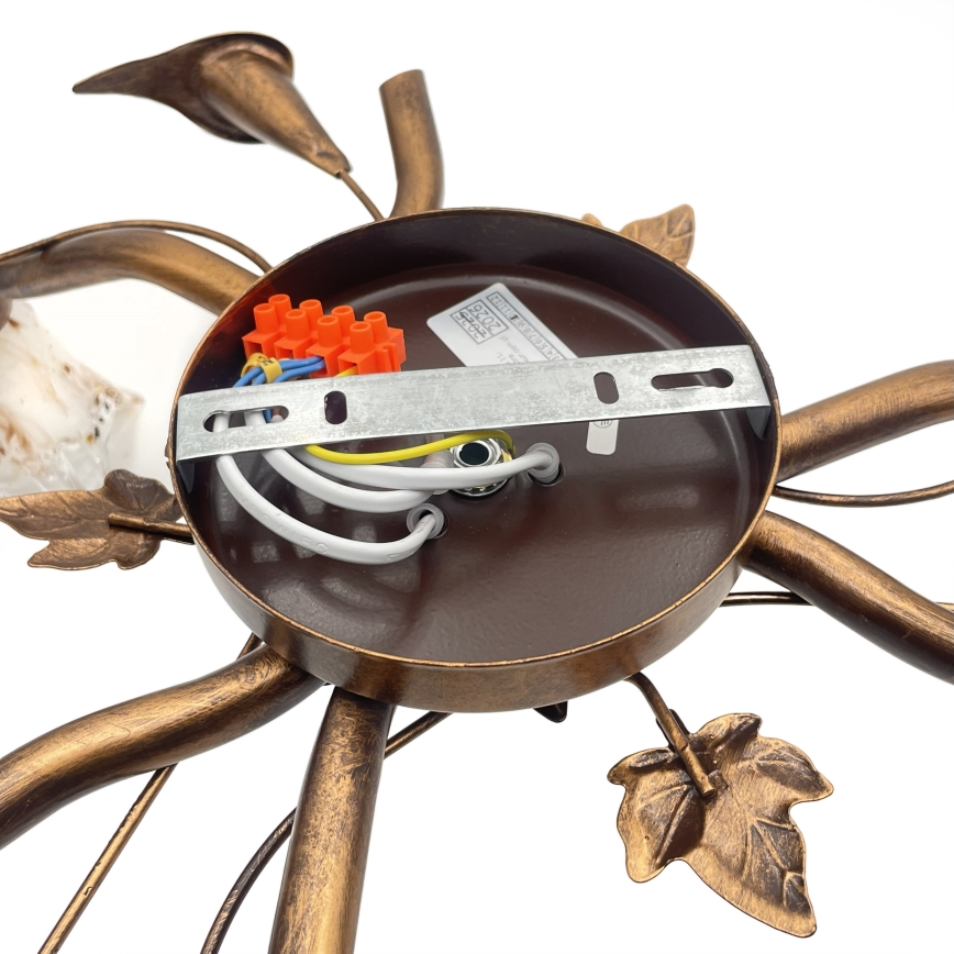 Pinnapealne laelühter ROZETA 3xE14/40W/230V pronksitooni