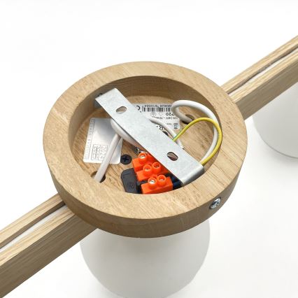 Pinnapealne lühter ANTONIO 3xG9/5W/230V tamm/valge