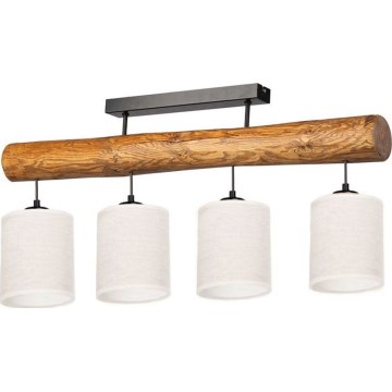 Pinnapealne lühter TRENO 4xE27/25W/230V mänd