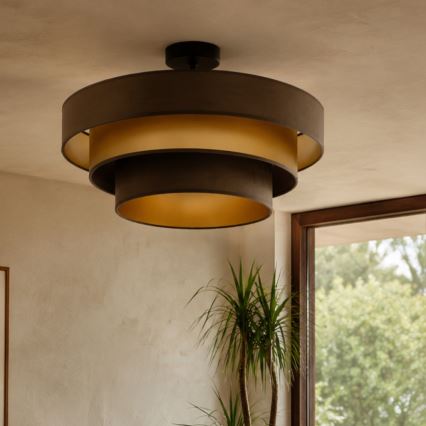 Pinnapealne lühter WENTA 1xE27/60W/230V, läbimõõt 50 cm, pruun/kuldne