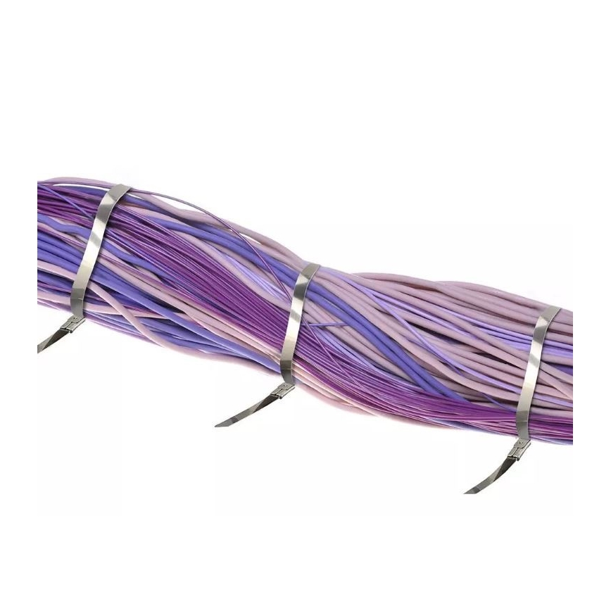 Plastik kaablisidemed 4,6x250mm 100 tk teras