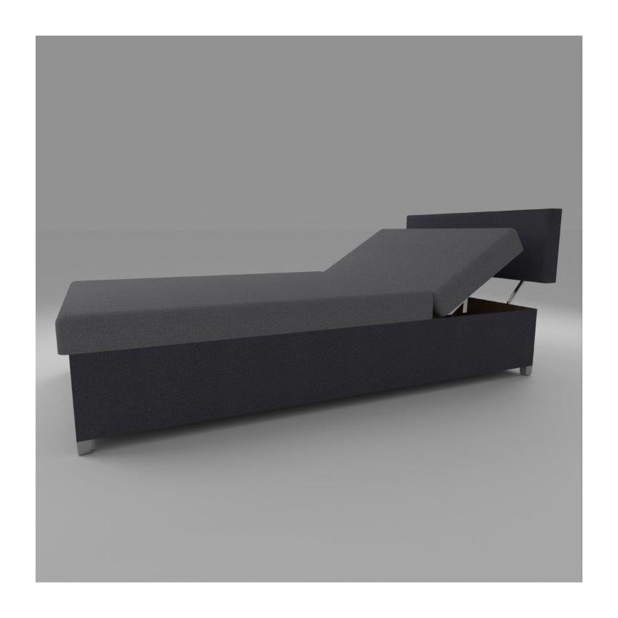 Polsterdatud päevavoodi reguleeritava asendiga ja panipaigaga DALLAS 108x205 cm hall/antratsiit