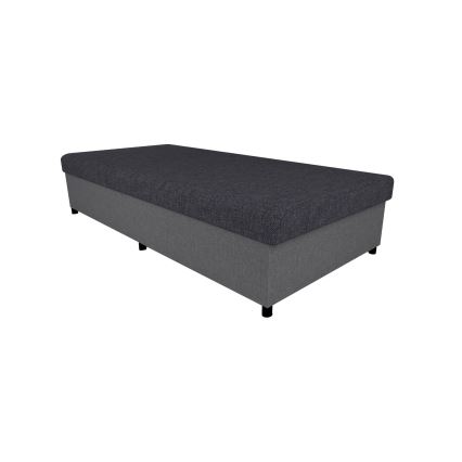 Polsterdatud päevavoodi hoiuruumiga CORY 80x200, hall