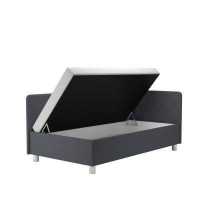 Polsterdatud päevavoodi hoiuruumiga ja madratsiga EMILE 110x200 cm hall