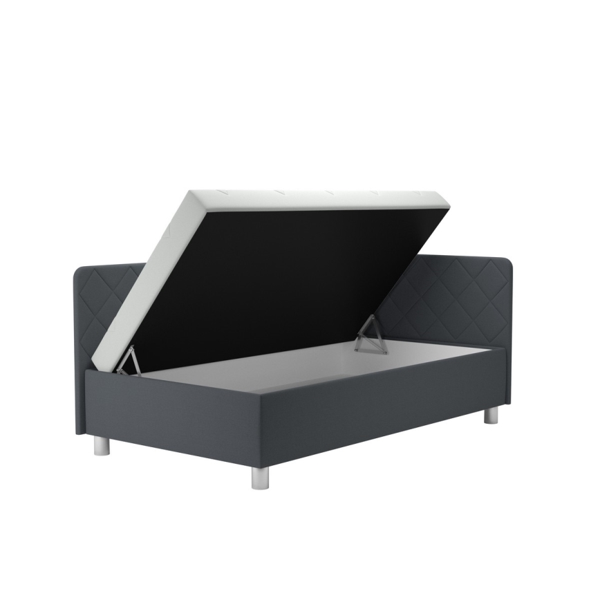 Polsterdatud päevavoodi hoiuruumiga ja madratsiga EMILE 110x200 cm hall