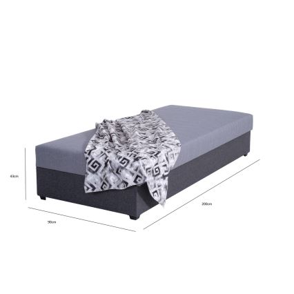 Polsterdatud päevavoodi hoiuruumiga JACOB XL 90x200 cm hall