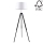 Põrandalamp TRIPOD 1xE27/60W/230V pöök - FSC sertifitseeritud