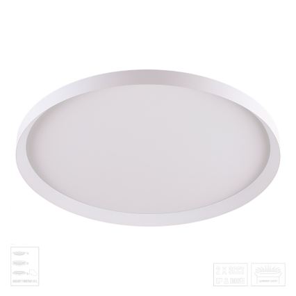 Prezent 17310 - LED laevalgusti ADRA LED/42W/230V + LED/13W 3000/4000/6000K läbimõõt 48,5 cm valge