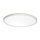 Prezent 27304 - LED Laevalgusti vannituppa CORDIA LED/12W/230V 3000/6000K IP54 valge