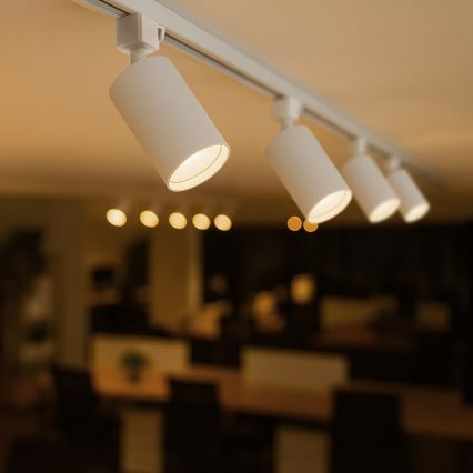 Punktvalgusti 1-faasilisse liistsüsteemi TIGER 1xGU10/10W/230V valge