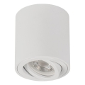 Punktvalgusti BORD ONE 1xGU10/10W/230V valge