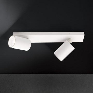 Punktvalgusti SEAN 2xGU10/13W/230V valge