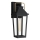 Quoizel - Väli seinavalgusti BUCKLEY 1xE27/40W/230V IP44 must