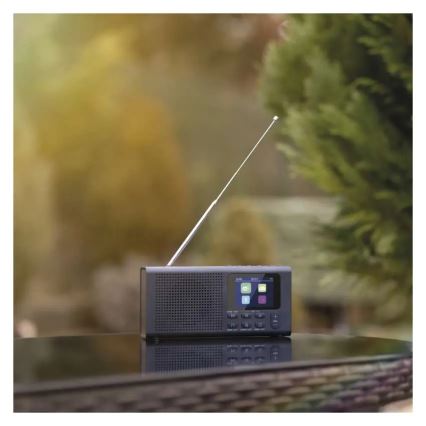 Raadio DAB DAB+ FM 3W/5V/4xAA must