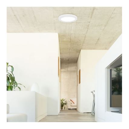 Rabalux - LED Valguspaneel anduriga LED/18W/230V 4000K 22,5 cm