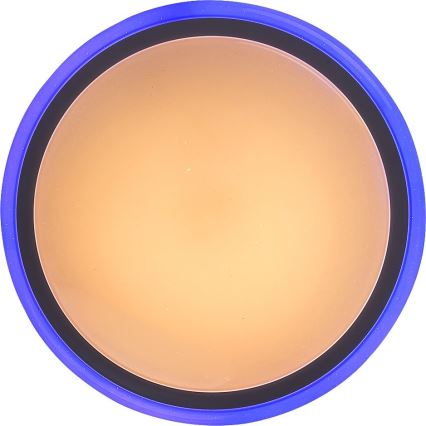 Rabalux - Hämardatav RGB-LED laelamp kaugjuhtimispuldiga/32W/230V läbimõõt 40 cm