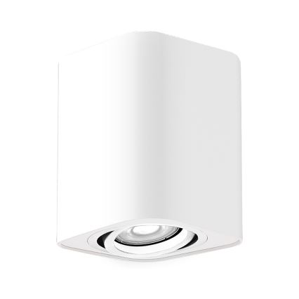 Rabalux - Kohtvalgusti 1xGU10/42W/230V valge