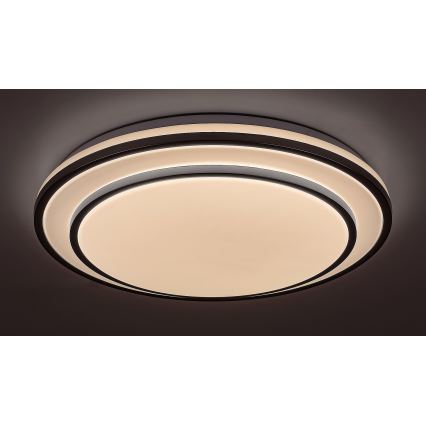 Rabalux - hämardatav LED-laelamp LED/40W/230V 3000-6500K hõbedane Ø 49 cm + kaugjuhtimispult