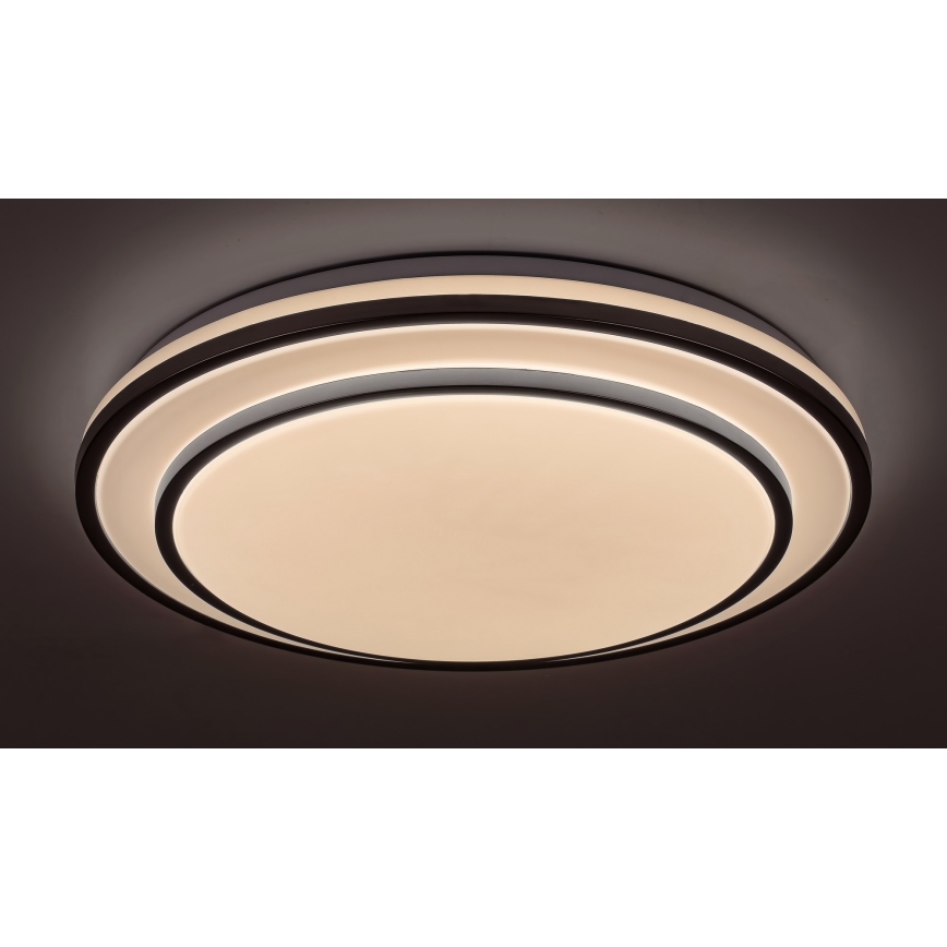 Rabalux - hämardatav LED-laelamp LED/40W/230V 3000-6500K hõbedane Ø 49 cm + kaugjuhtimispult