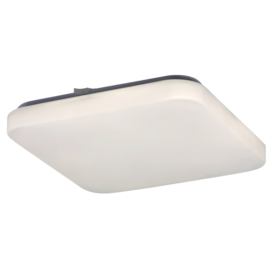 Rabalux - LED-laevalgusti 1xLED/20W/230V