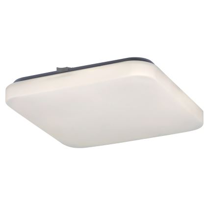 Rabalux - LED Laevalgusti 1xLED/20W/230V 28x28 cm
