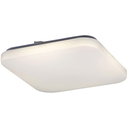 Rabalux - LED Laevalgusti 1xLED/32W/230V 32x32 cm