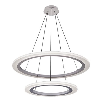 Rabalux 2429 - LED-lühter ADRIENNE LED/62W/230V hõbe
