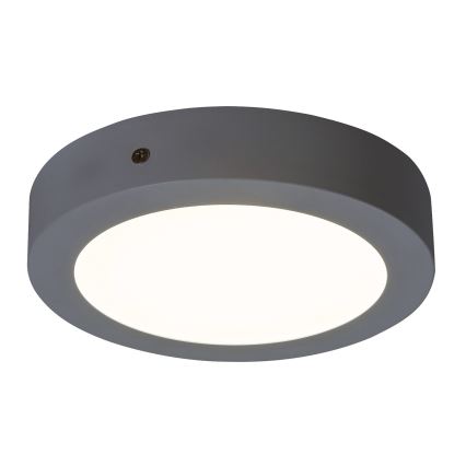 Rabalux - LED-laevalgusti LED/12W/230V