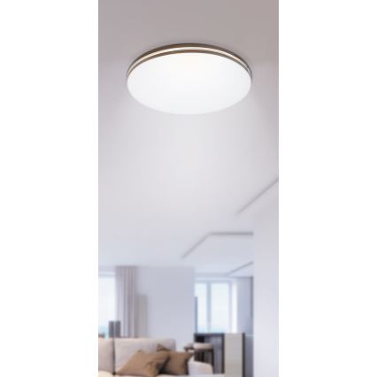 Rabalux - LED-laevalgusti 1xLED/18W/230V