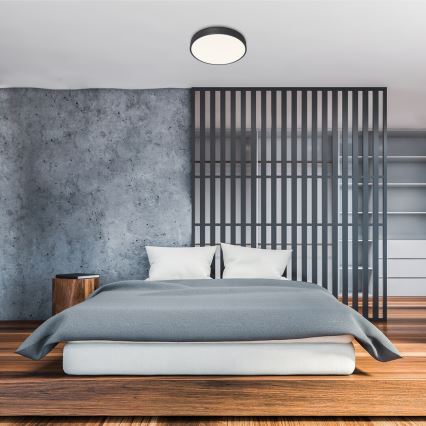 Rabalux - hämardatav LED-laelamp LED/60W/230V, Ø 60 cm + kaugjuhtimispult