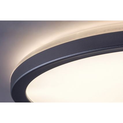 Rabalux - LED vannitoa laelamp LED/15W/230V IP44 läbimõõt 28 cm