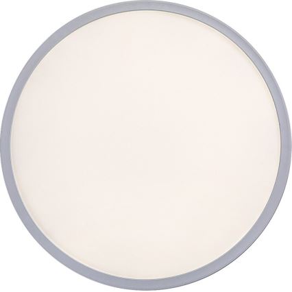 Rabalux - LED hämardatav laevalgusti LED/22W/230V läbimõõt 42 cm